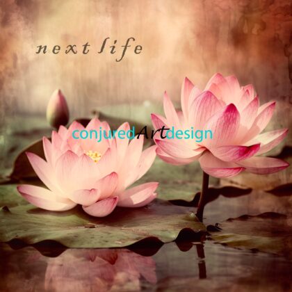 Image of rose quartz colored lotus flowers with a Buddhist theme